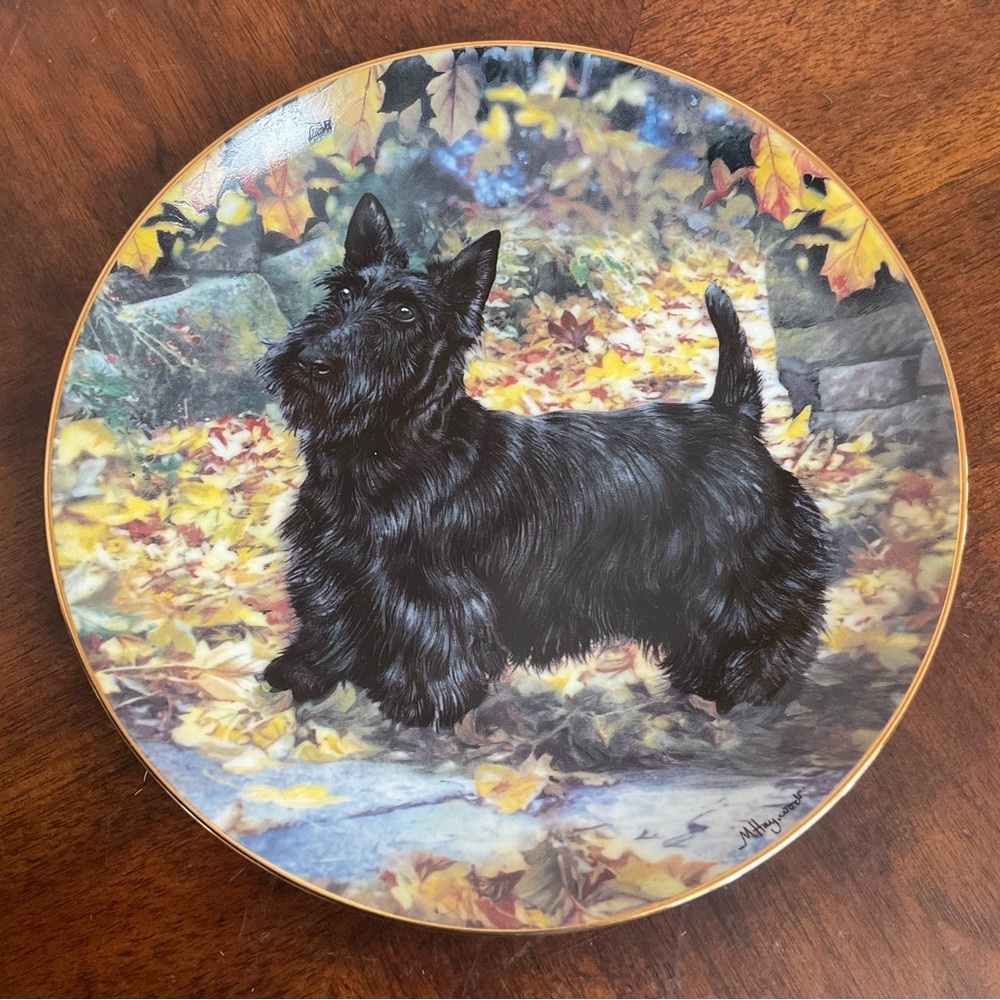 Danbury Mint Autumn Explorer